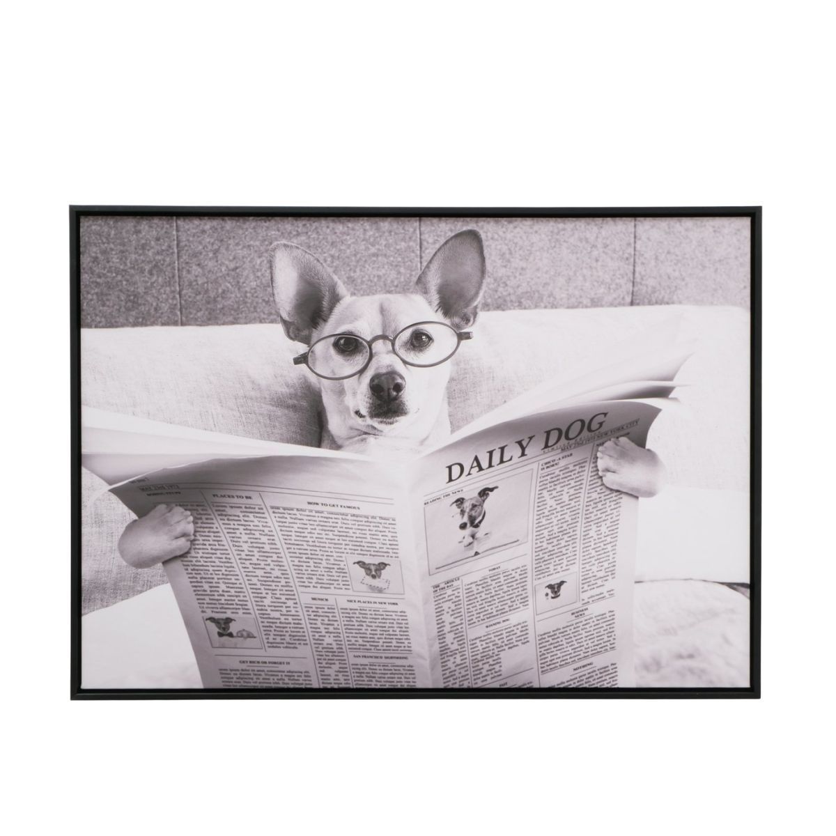 Bild DAILY NEWS